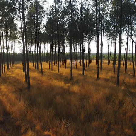 Du Bonheur Appartement