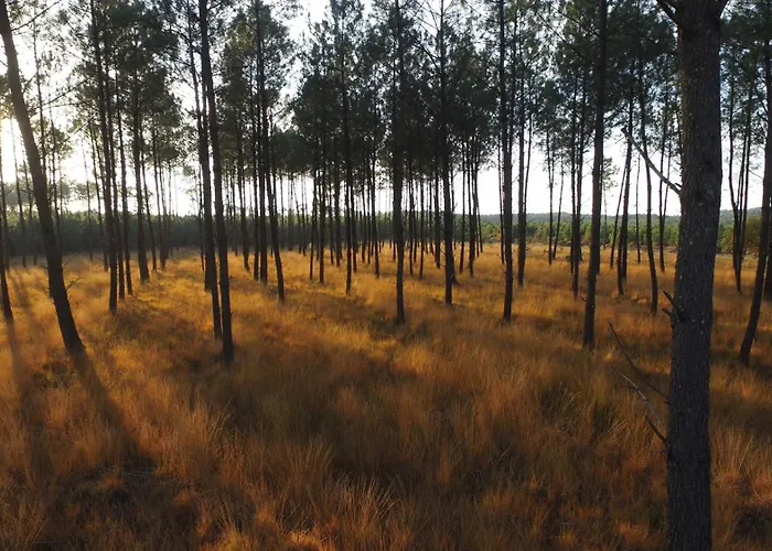 Du Bonheur Appartamento